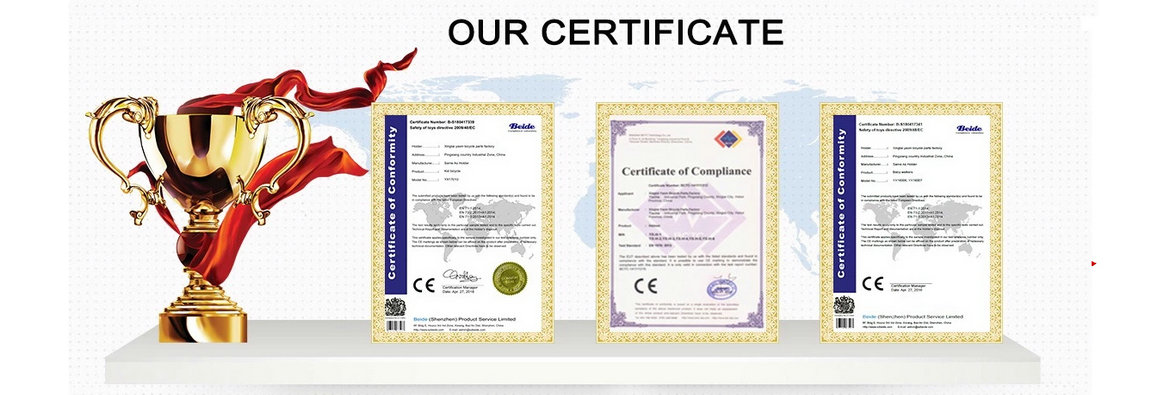 Flybaby Certificate