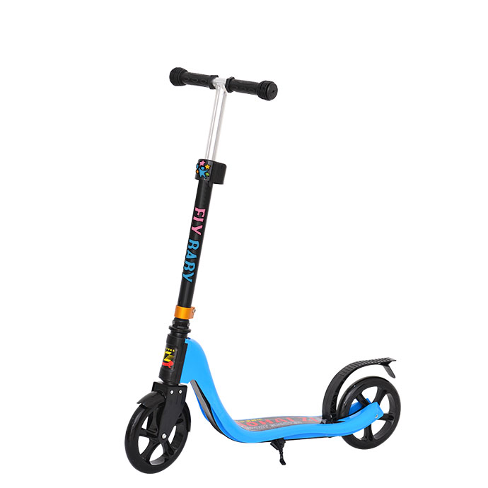Foldable City Scooter FB-S218F