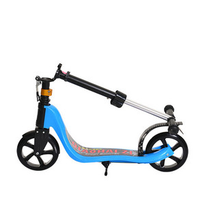 Foldable City Scooter FB-S218F